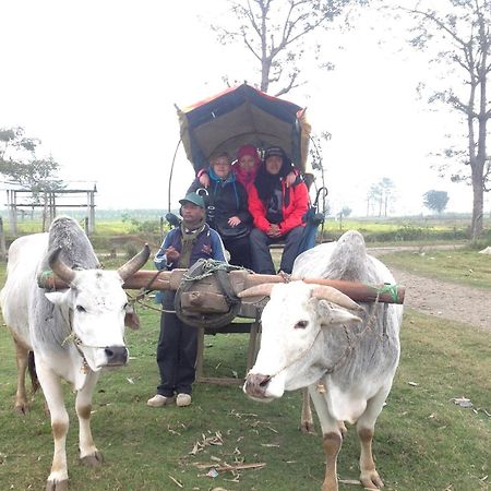Everest Home Stay Apartment Lalitpur Экстерьер фото